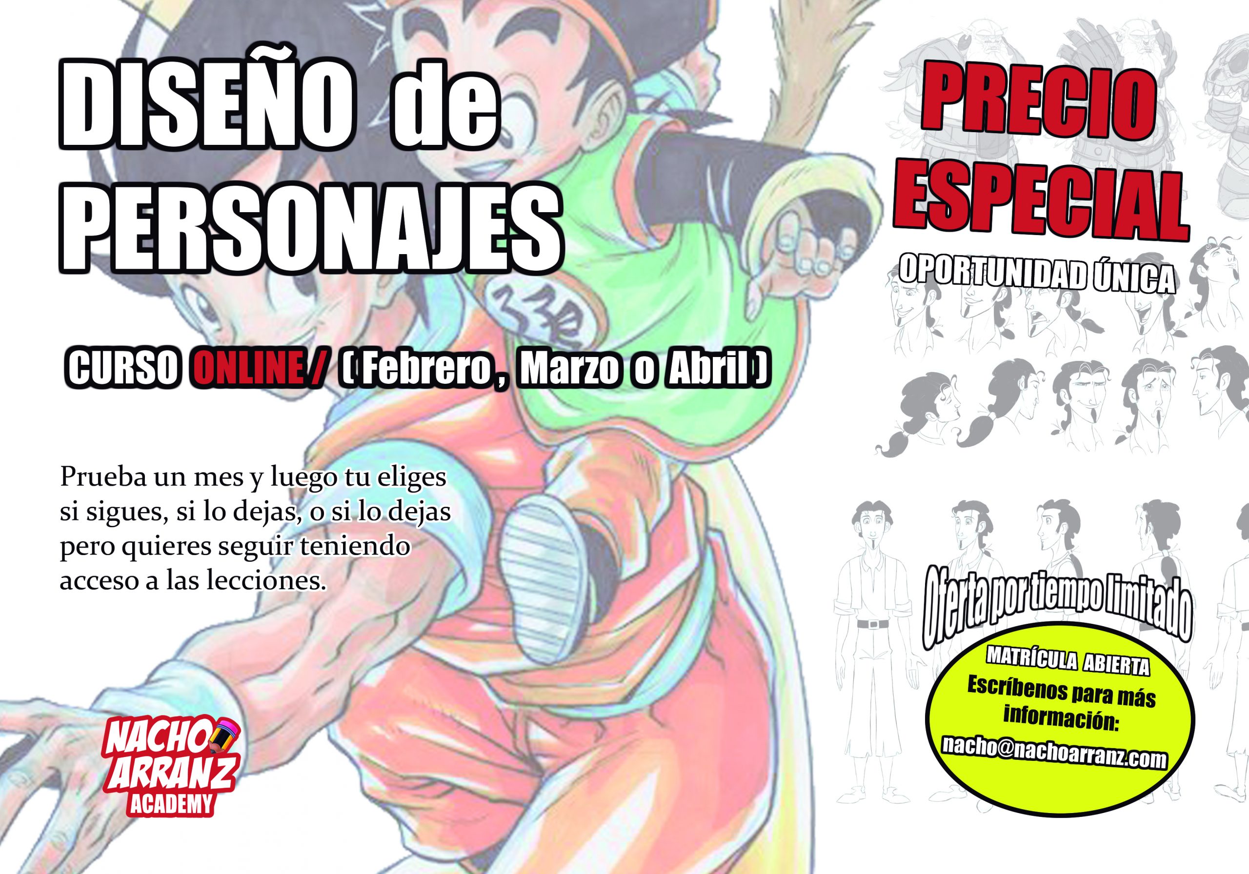 Curso Online. OFERTA ESPECIAL durante un mes (Con Seguimiento)